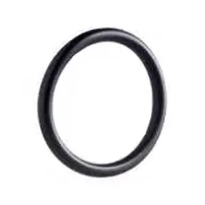 45900405-002B O-Ring 21.9 mm diameter
