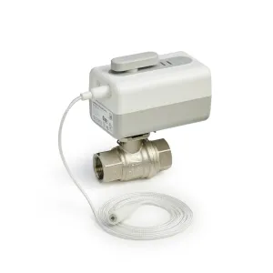 VWS01Y015E-L5 WiFi Actuator with L1 Leak Detector and 1/2 in Rp Ball Valve