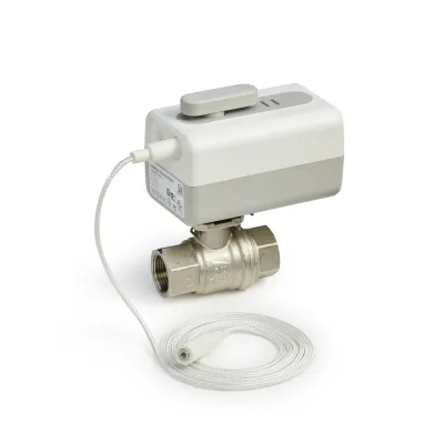 VWS02Y025EE - L5 WiFi Actuator with DN25 Rp Ball Valve