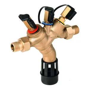 BA295S-1/2A - 50 mm Standard version with threaded connections, 1/2 in