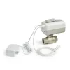 VWS02Y032E-WiFi Actuator with 1 1/4 in Rp Ball Valve
