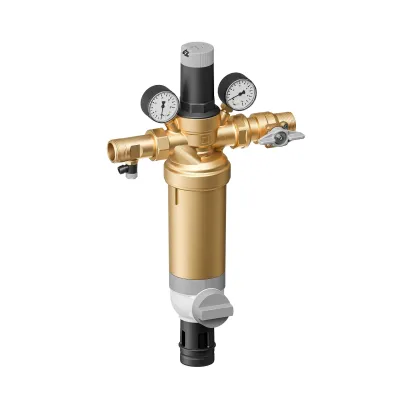HS10S-11/4LFAAM Domestic water station, 100 µm, lead-free brass, 1 1/4"