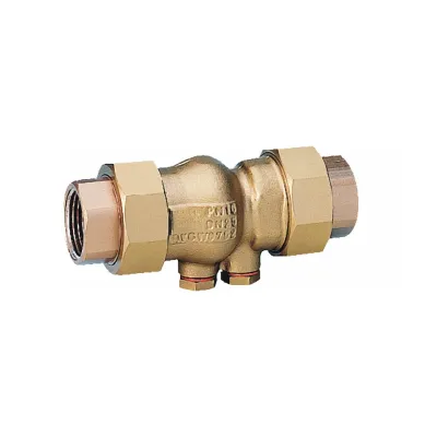 RV281-11/2E - Check valve, external threads, DN40, 2 in