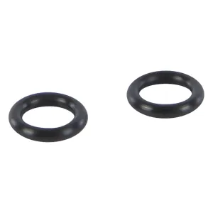 ORS10S-SP - O-ring set for the SP10S brine pump