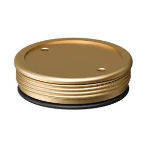 DF76-1/2LFM Lead-free brass top cap for 1/2 or 3/4 in F76S lead-free filter