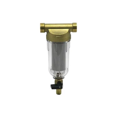 FF06-3/4EA Without connections, filter mesh 100 μm, 3/4"
