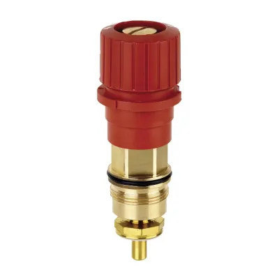 VS1501R050 - Replacement insert from 1991 onwards, DN 50