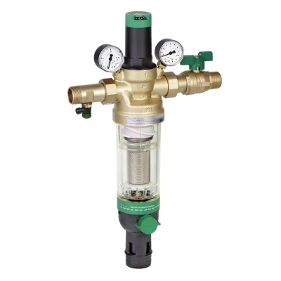 HS10S-2AA Threaded male connections, filter mesh size 100 micron 2 in